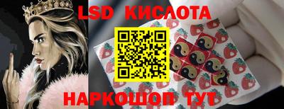 шишки Донской