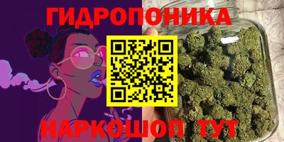 шишки Донской