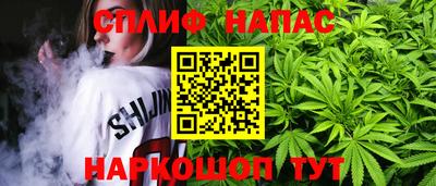 a pvp Дубна