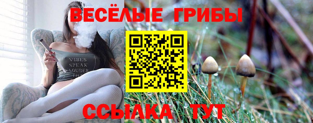 Малгобек  Псилоцибиновые грибы Psilocybine cubensis  Псилоцибиновые грибы MAGIC MUSHROOMS  Вход с VPN 