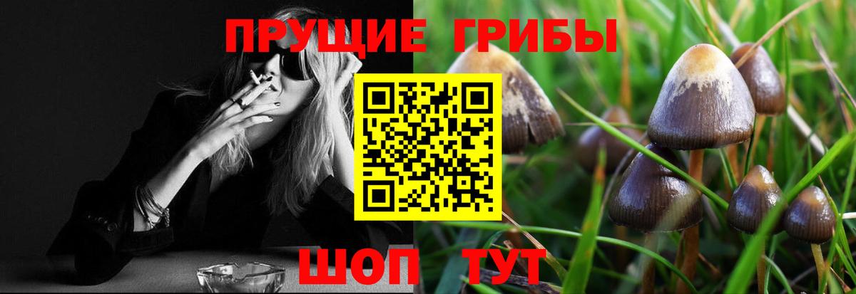 Галлюциногенные грибы мухоморы Малгобек